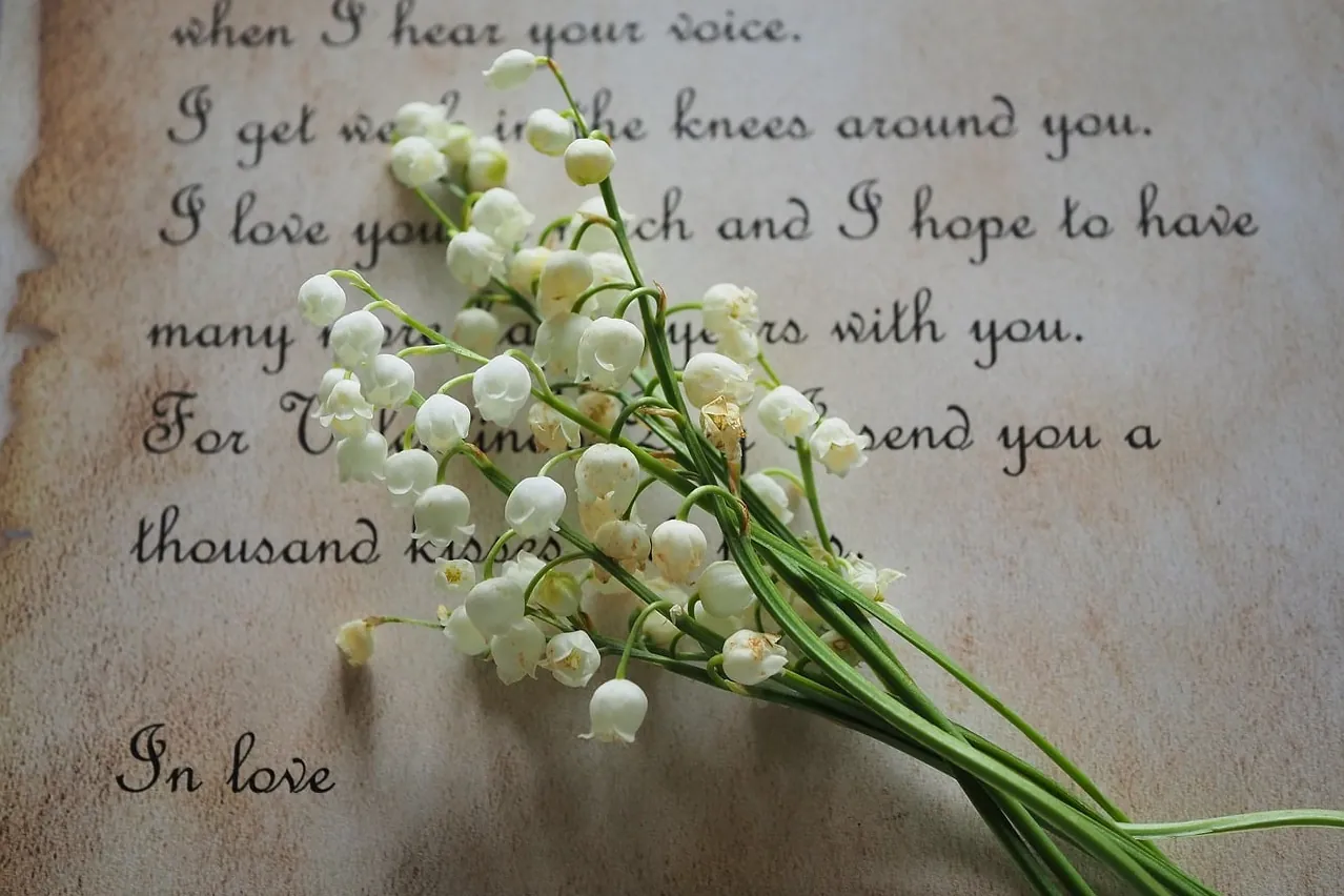 Letter, flowers, lily of the valley