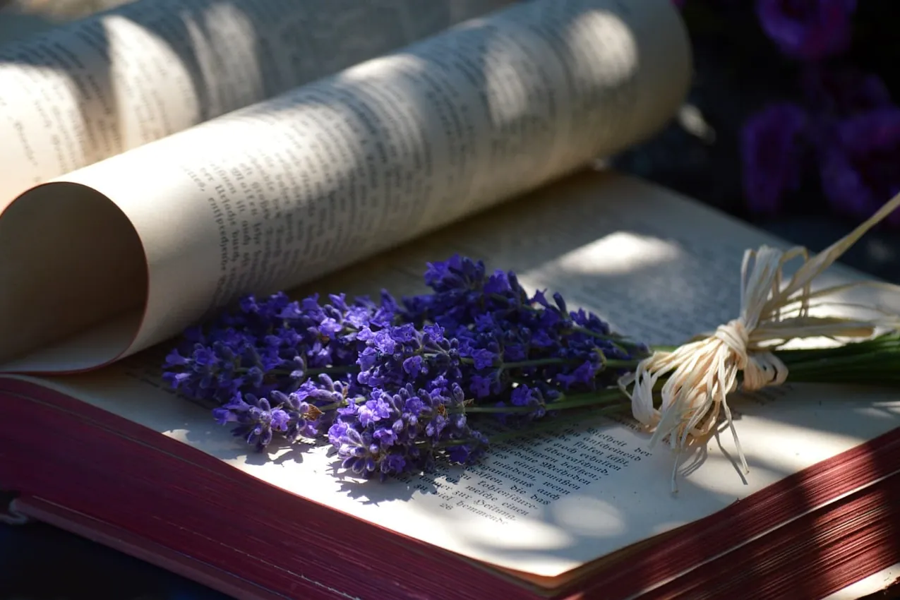Book, flower background, lavender