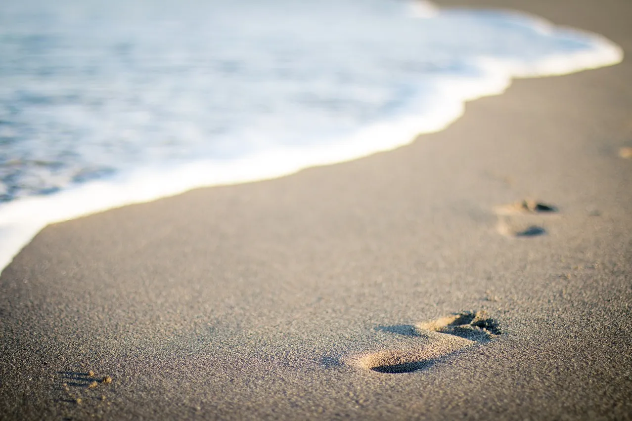 Sea, nature, beach