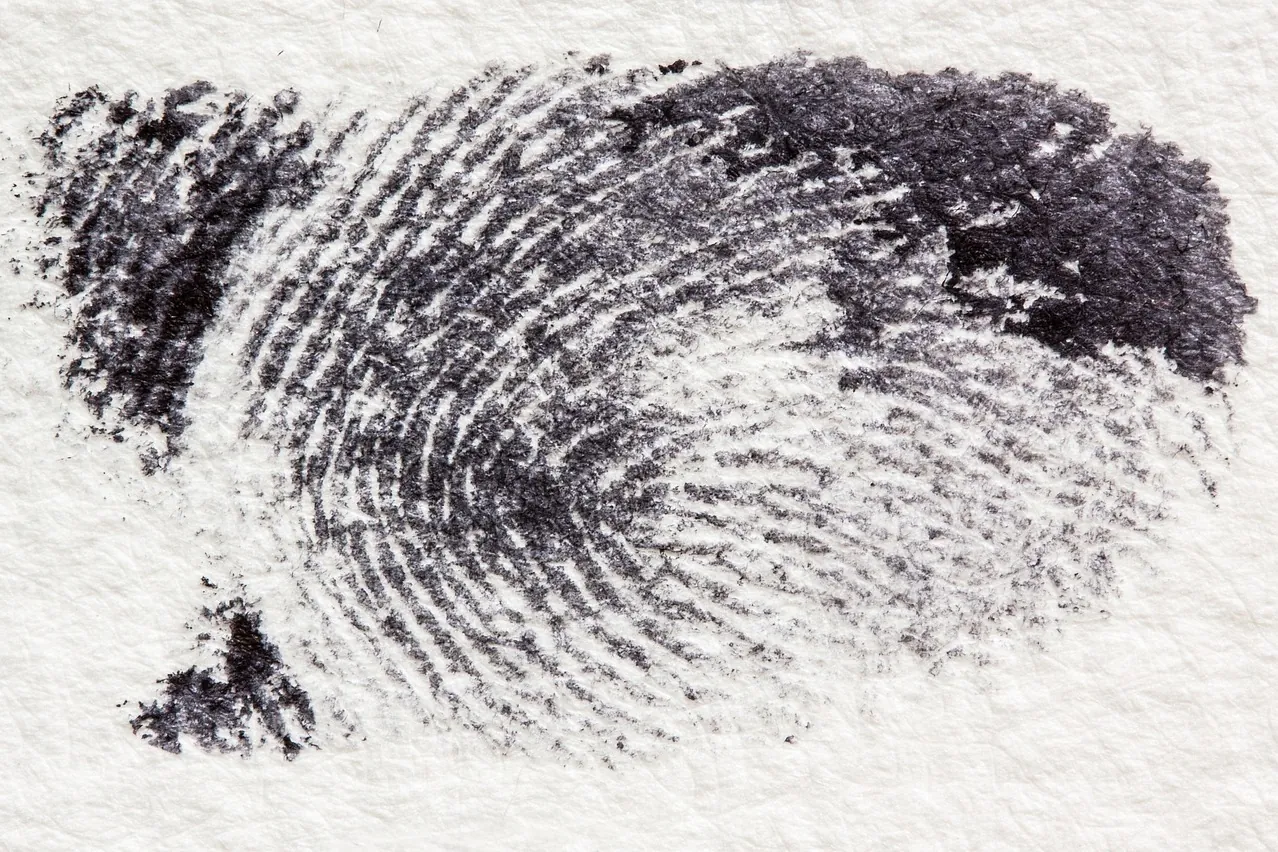 Fingerprint, dactylogram, papillary ridges