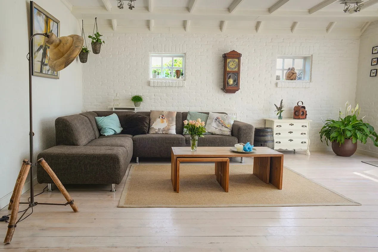 Living room, couch, interior