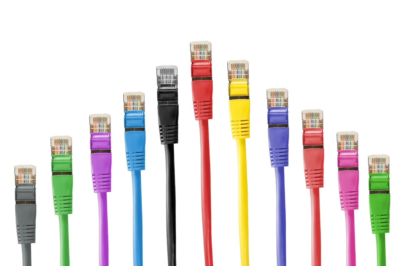 Network cable, cable, patch
