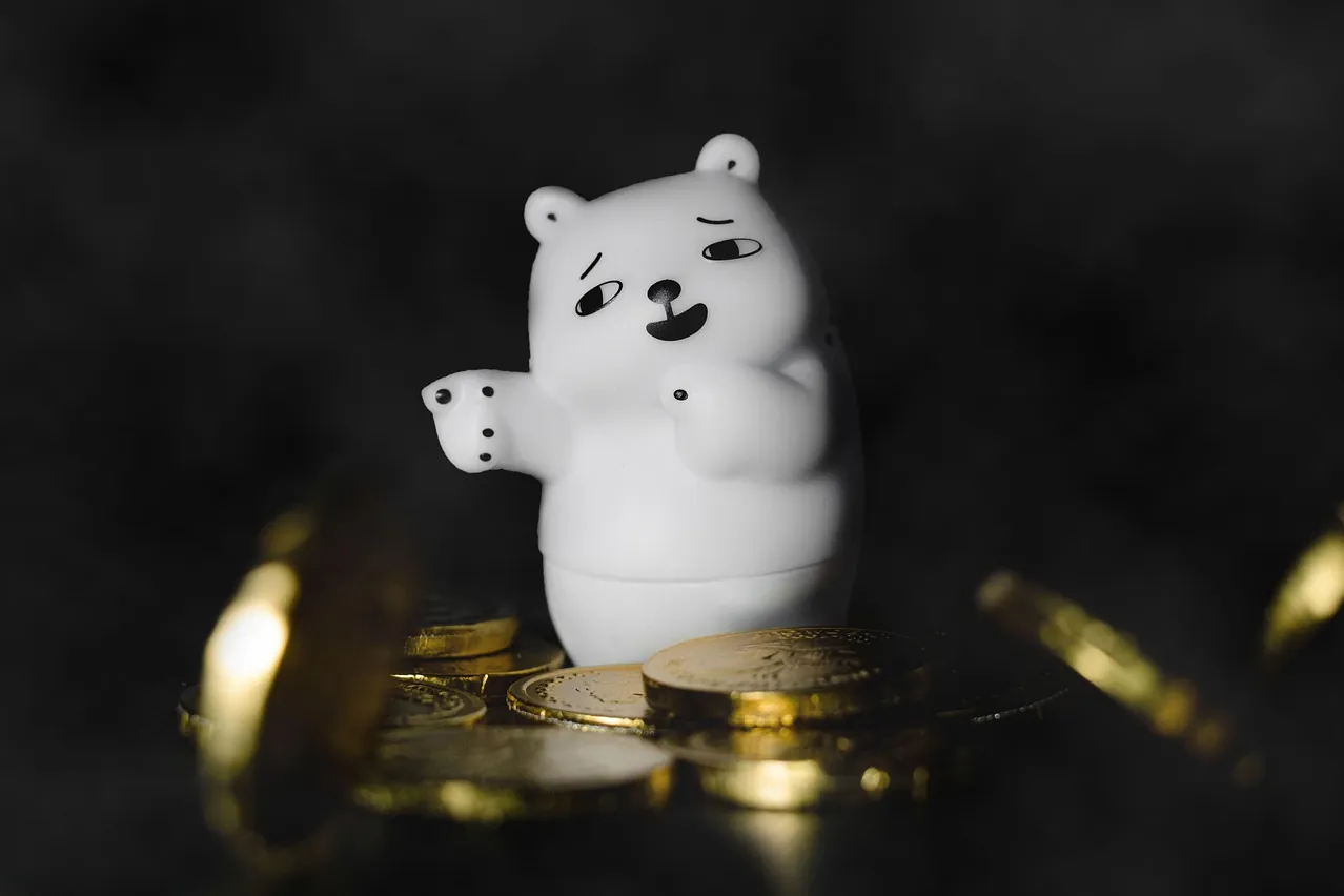 Toy, bear, white bear