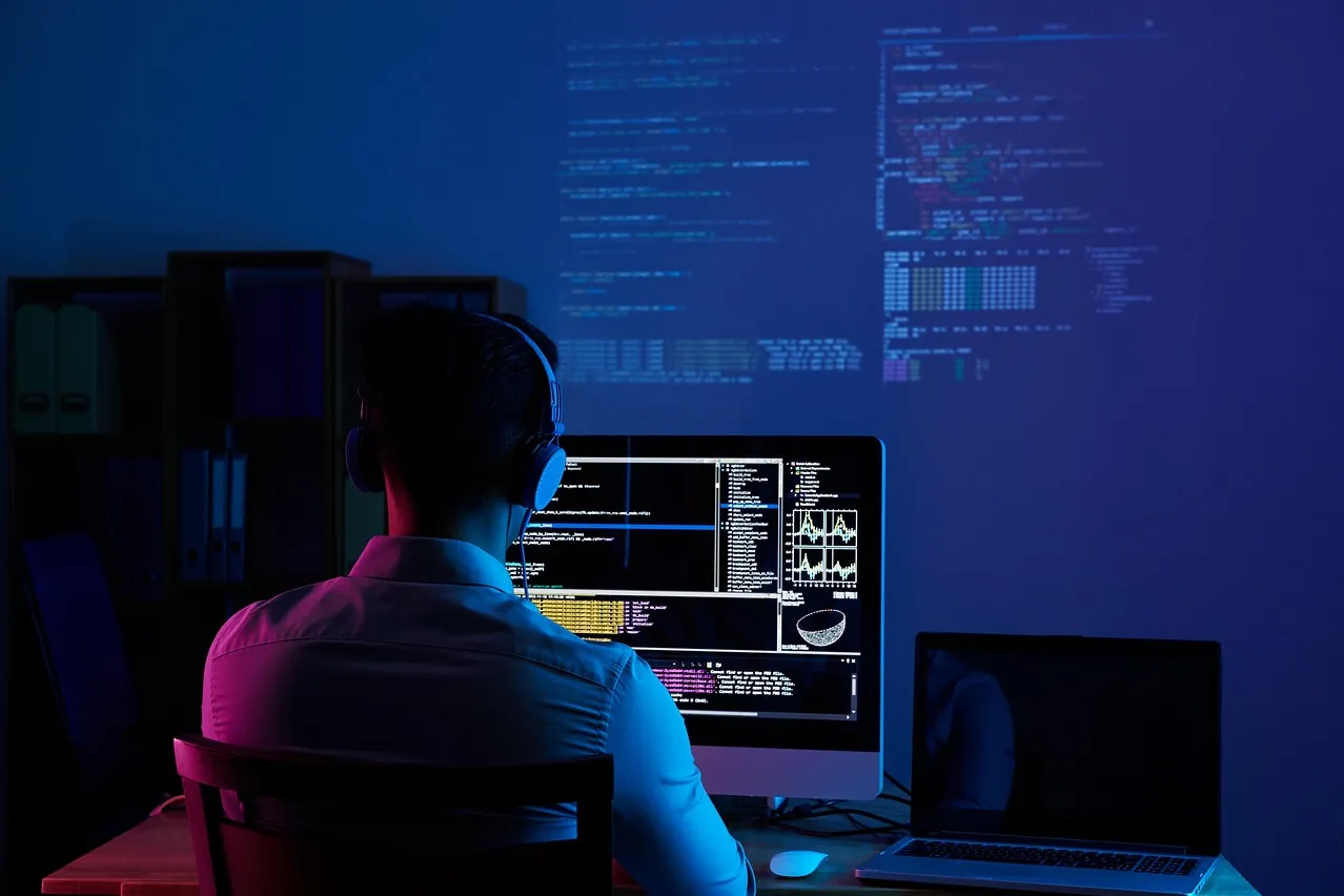 Software developer, web developer, programmer