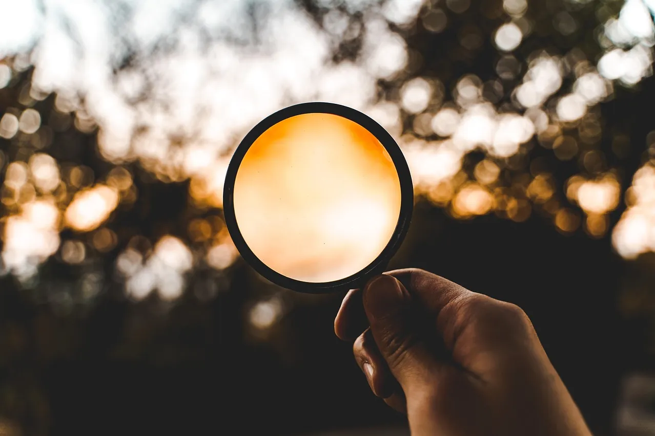 Magnifying glass, nature, loupe
