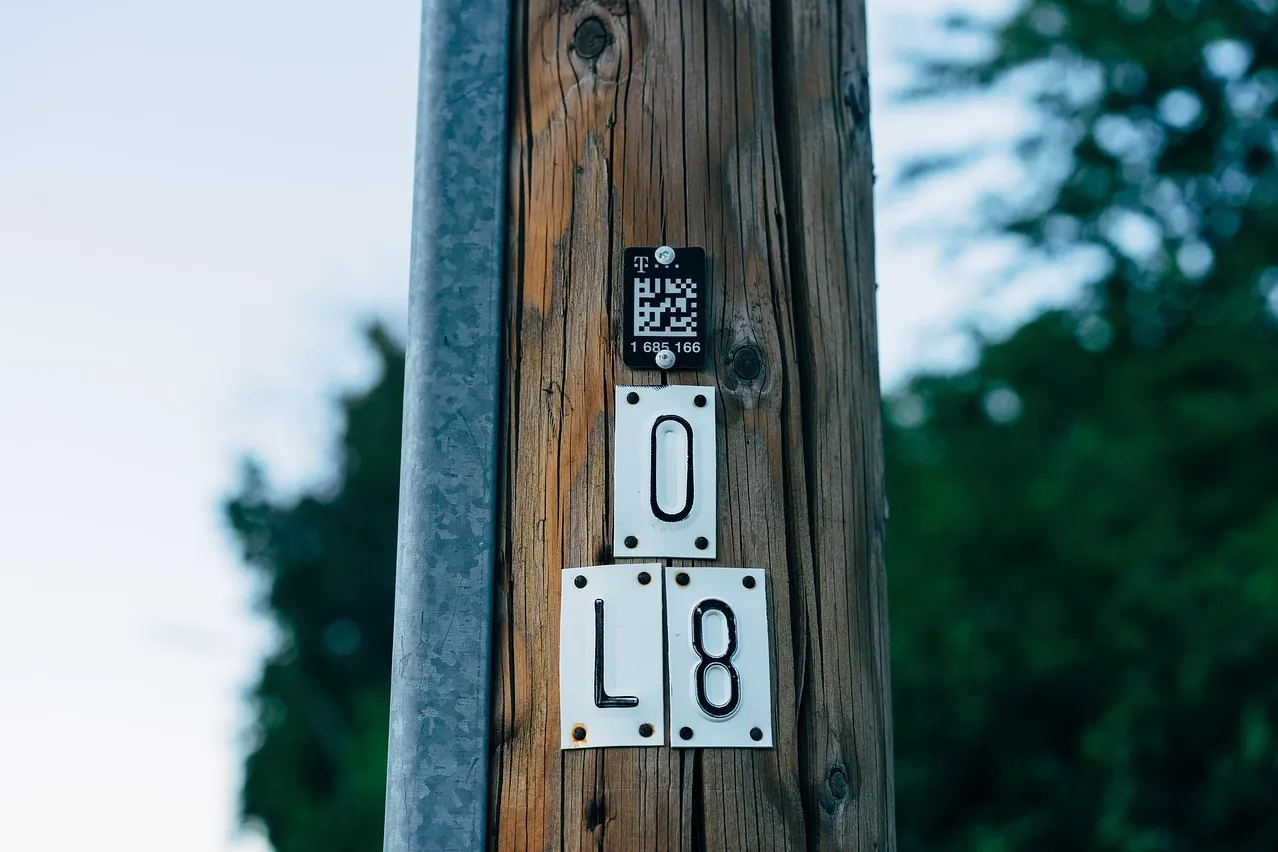 Nature, wooden, qr code