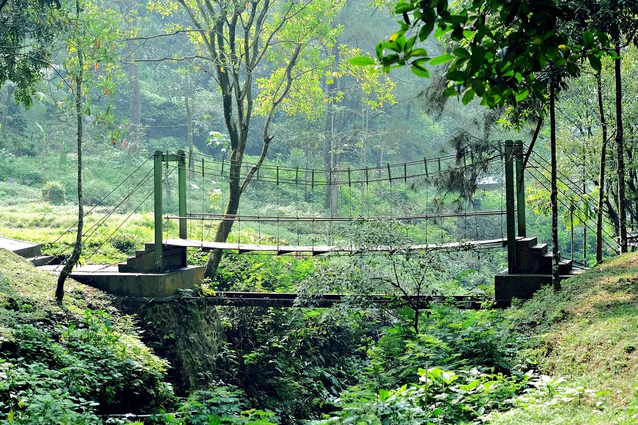 Small suspension bridge, pedestrian, bridge